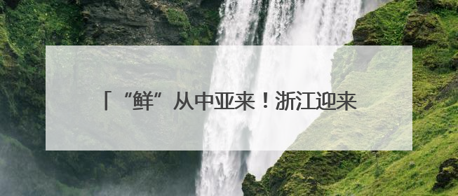 “鲜”从中亚来！浙江迎来首批乌兹别克斯坦鲜樱桃
