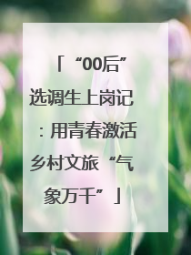 “00后”选调生上岗记：用青春激活乡村文旅“气象万千”