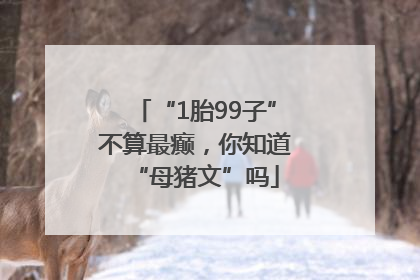 “1胎99子”不算最癫，你知道“母猪文”吗
