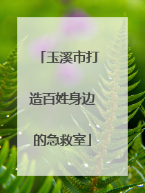 玉溪市打造百姓身边的急救室