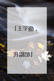 王学勤，升副部
