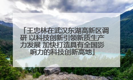 王忠林在武汉东湖高新区调研 以科技创新引领新质生产力发展 加快打造具有全国影响力的科技创新高地