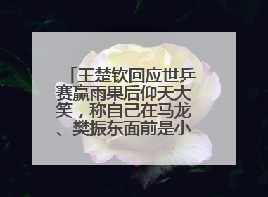 王楚钦回应世乒赛赢雨果后仰天大笑，称自己在马龙、樊振东面前是小孩，巴黎奥运被孙颖莎带着打