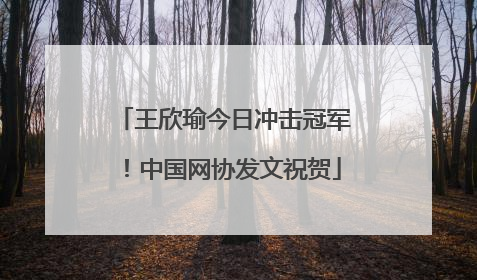 王欣瑜今日冲击冠军！中国网协发文祝贺