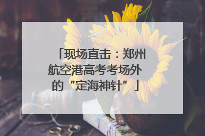 现场直击：郑州航空港高考考场外的“定海神针”