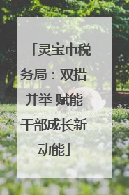 灵宝市税务局：双措并举 赋能干部成长新动能