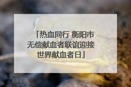 热血同行 衡阳市无偿献血者联谊迎接世界献血者日