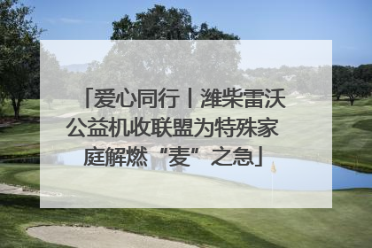 爱心同行丨潍柴雷沃公益机收联盟为特殊家庭解燃“麦”之急
