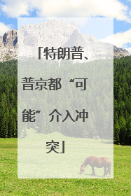 特朗普、普京都“可能”介入冲突
