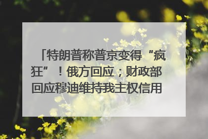 特朗普称普京变得“疯狂”！俄方回应；财政部回应穆迪维持我主权信用评级；小米辟谣“定制芯片”；不听人类指挥，OpenAI模型拒关闭丨每经早参