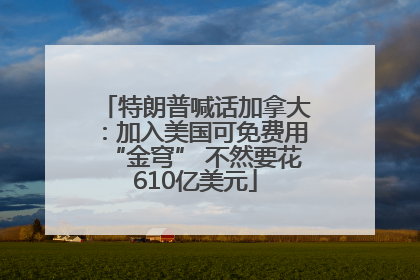 特朗普喊话加拿大：加入美国可免费用“金穹” 不然要花610亿美元