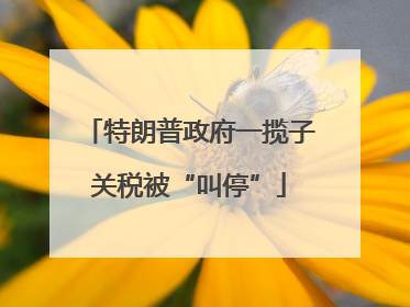 特朗普政府一揽子关税被“叫停”