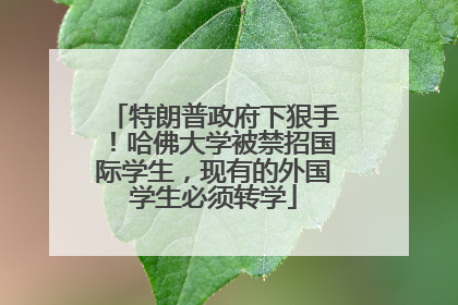特朗普政府下狠手！哈佛大学被禁招国际学生，现有的外国学生必须转学