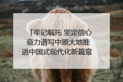 牢记嘱托 坚定信心 奋力谱写中原大地推进中国式现代化新篇章（六）河南绘就“行走河南·读懂中国”新画卷丨牢记嘱托谱新篇
