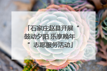 石家庄赵县开展“鼓动夕阳 乐享晚年”志愿服务活动
