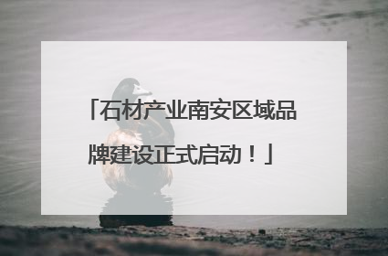 石材产业南安区域品牌建设正式启动！