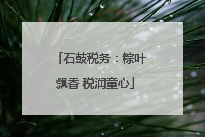 石鼓税务：粽叶飘香 税润童心