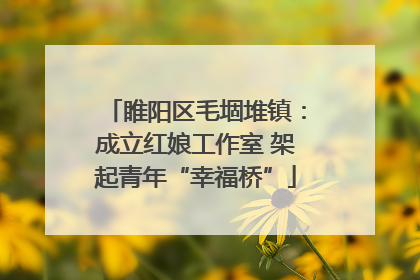 睢阳区毛堌堆镇：成立红娘工作室 架起青年“幸福桥”