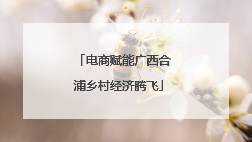 电商赋能广西合浦乡村经济腾飞
