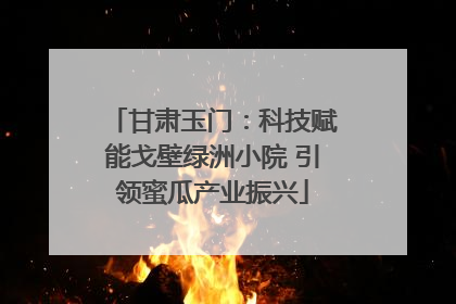 甘肃玉门：科技赋能戈壁绿洲小院 引领蜜瓜产业振兴