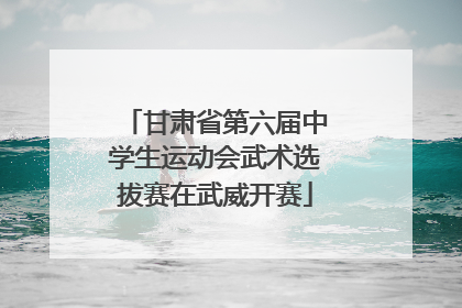 甘肃省第六届中学生运动会武术选拔赛在武威开赛