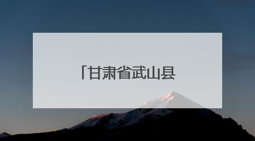 甘肃省武山县市场监管局扎实开展夏季餐饮食品专项检查