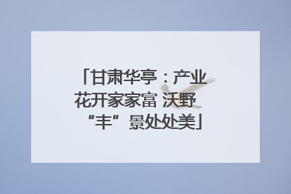 甘肃华亭：产业花开家家富 沃野“丰”景处处美
