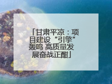 甘肃平凉：项目建设“引擎”轰鸣 高质量发展奋战正酣
