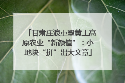 甘肃庄浪重塑黄土高原农业“新颜值”：小地块“拼”出大文章