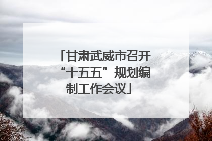 甘肃武威市召开“十五五”规划编制工作会议