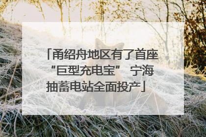 甬绍舟地区有了首座“巨型充电宝” 宁海抽蓄电站全面投产