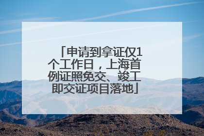 申请到拿证仅1个工作日，上海首例证照免交、竣工即交证项目落地