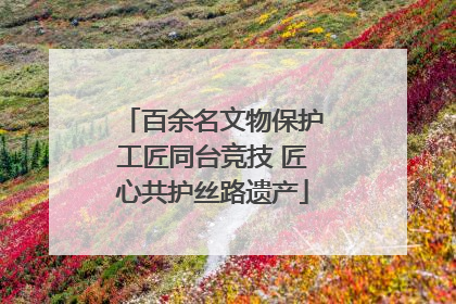 百余名文物保护工匠同台竞技 匠心共护丝路遗产