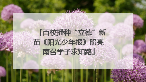 百校播种“立德”新苗《阳光少年报》照亮南召学子求知路