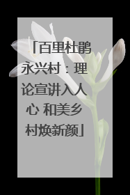 百里杜鹃永兴村：理论宣讲入人心 和美乡村焕新颜