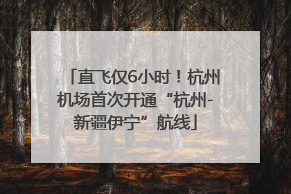 直飞仅6小时！杭州机场首次开通“杭州-新疆伊宁”航线