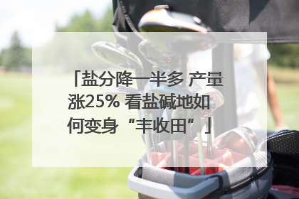 盐分降一半多 产量涨25% 看盐碱地如何变身“丰收田”