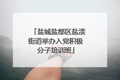 盐城盐都区盐渎街道举办入党积极分子培训班