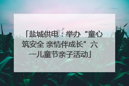 盐城供电：举办“童心筑安全 亲情伴成长”六一儿童节亲子活动