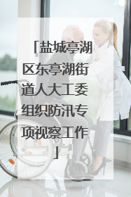 盐城亭湖区东亭湖街道人大工委组织防汛专项视察工作