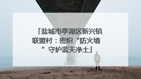 盐城市亭湖区新兴镇联盟村：密织“防火墙”守护蓝天净土