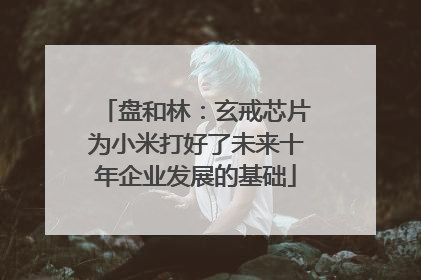 盘和林：玄戒芯片为小米打好了未来十年企业发展的基础