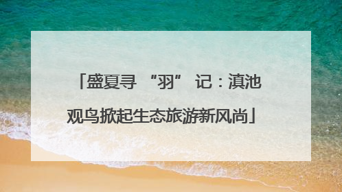 盛夏寻 “羽” 记：滇池观鸟掀起生态旅游新风尚
