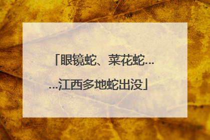 眼镜蛇、菜花蛇……江西多地蛇出没
