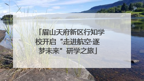 眉山天府新区行知学校开启“走进航空·逐梦未来”研学之旅