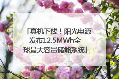真机下线！阳光电源发布12.5MWh全球最大容量储能系统