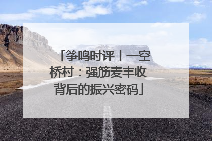 筝鸣时评丨一空桥村：强筋麦丰收背后的振兴密码