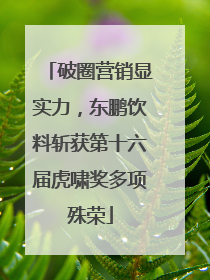 破圈营销显实力，东鹏饮料斩获第十六届虎啸奖多项殊荣