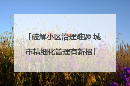 破解小区治理难题 城市精细化管理有新招