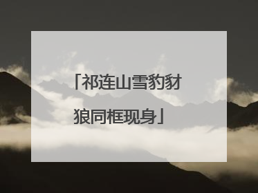 祁连山雪豹豺狼同框现身